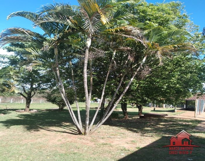 Excelente Chácara de 5.000m² a Venda Em Bauru-SP